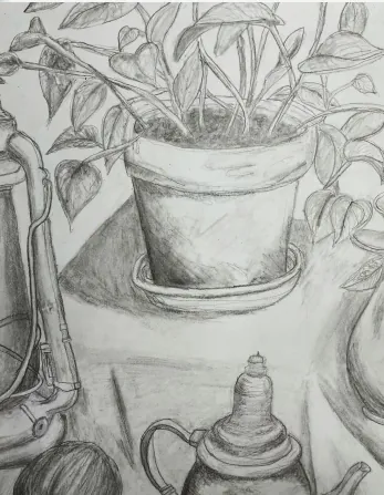 6729 Drawing from Life: Still Life & Botanicals