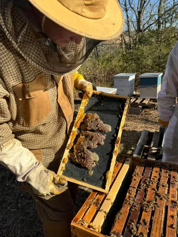 3545 Beekeeping Bootcamp