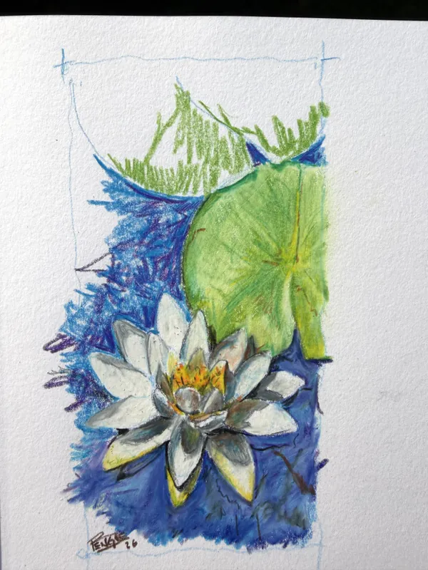 3606 Colored Pencil for Beginners
