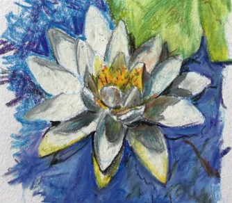 3606 Colored Pencil for Beginners