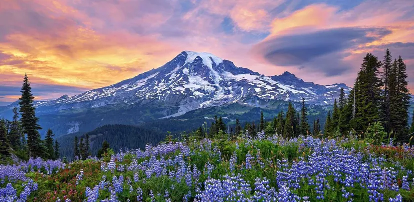 3624 National Park Volunteering