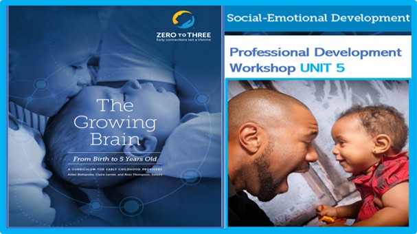 🌟🧠SEPT 30th: 2:00 PM - 4:30 PM ONLINE Live "PRIVATE" WORKSHOP - "ZERO to THREE: UNIT 5 -The Growing Brain- Birth to Age 5".  Explore how social-emotional development unfolds in the first 5 years, key brain areas involved in learning self-regulation, and the critical role of relationships & attachment. ✅ Facilitated by a ZERO to THREE Certified Trainer