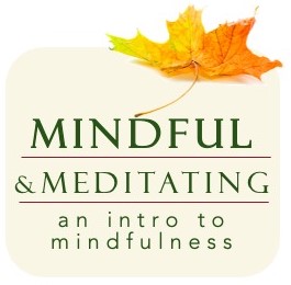 Introduction to Mindfulness and Meditation