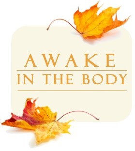 Grounded & Relaxed: Awake in the Body