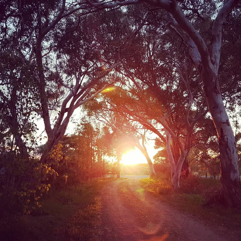 SOLstice Yoga and Nidra