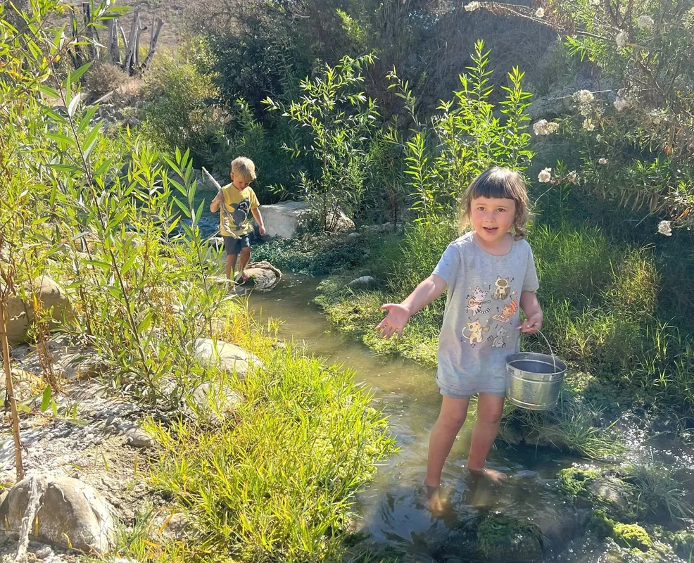 Ventura Wild Forest Preschool Program Application (2026-2027)