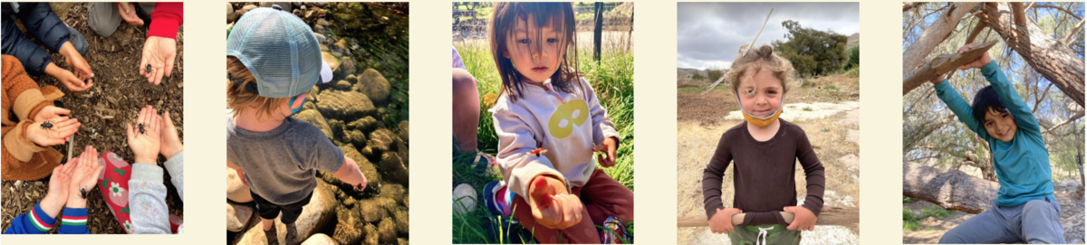 Cubs - Wednesday Forest Preschool Program, Spring Semester