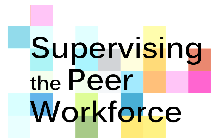 Peer Supervision Training within the Recovery Oriented Systems of Care (ROSC) /Behavioral Health Field