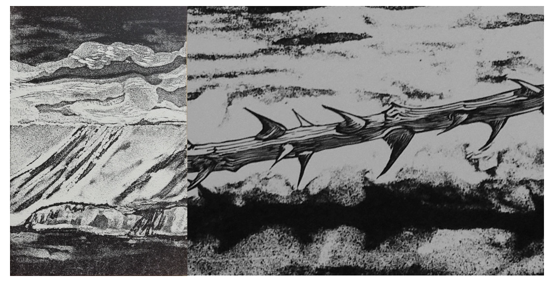 Etched Lino with Tabitha Fedden
