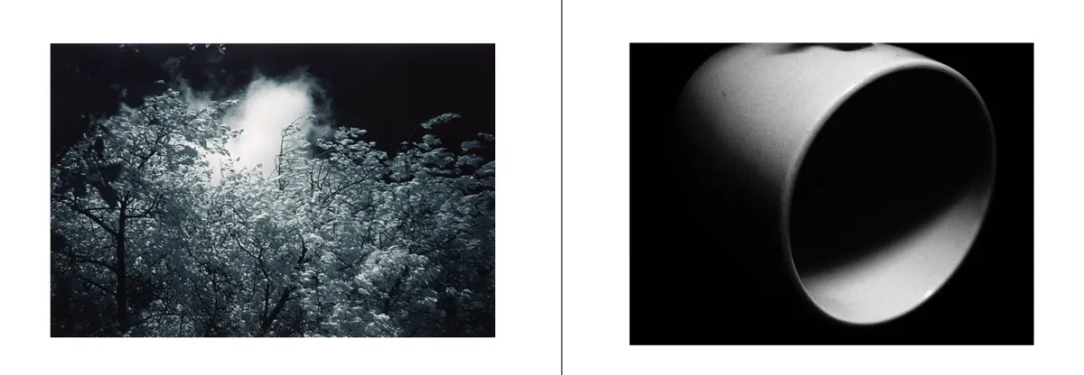 Polymer Photogravure with Martyn Grimmer