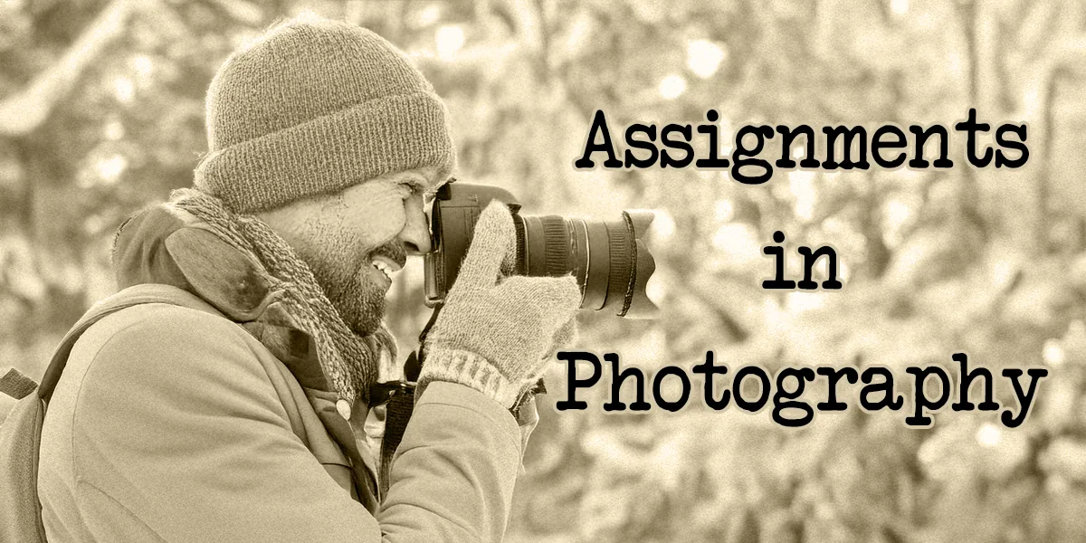 Assignments in Photography (Virtual Class)