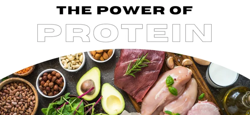 Health Series Session 3:  The Power of Protein