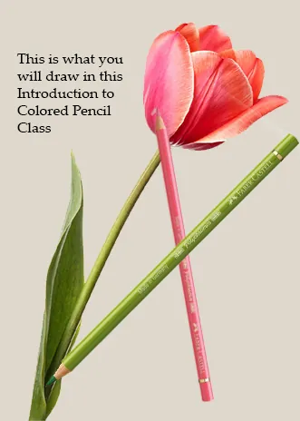 Introduction to Colored Pencils Class