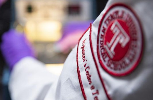 Memory Lane: Understanding and Protecting Brain Blood Vessels in Alzheimer’s Disease