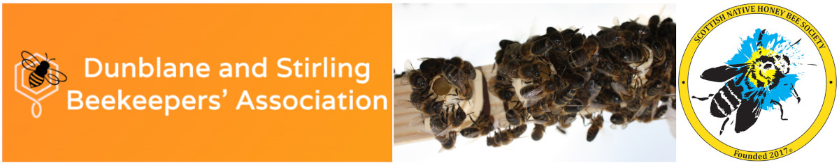 Queen Rearing Workshop