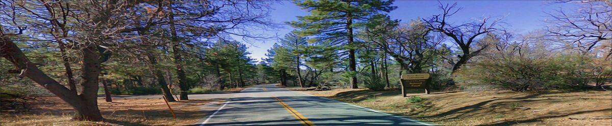 Horse Heaven JAM CAMP 2025 Mt. Laguna (5/29-6/1)