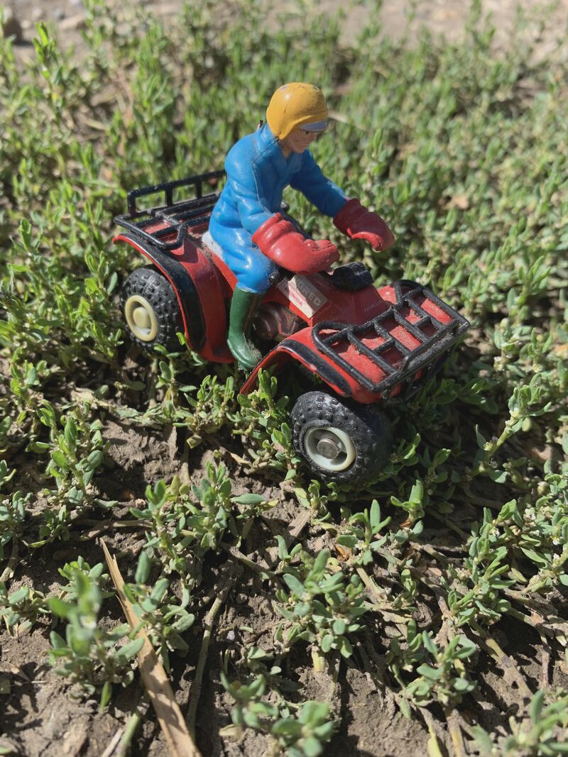 All Terrain Vehicle (ATV) Sit Astride