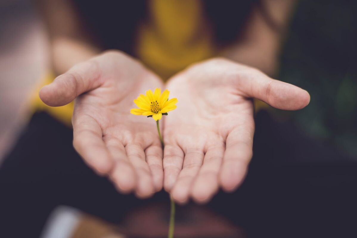 The Write Retreat: Creative Nourishment, *Writing and Yoga*