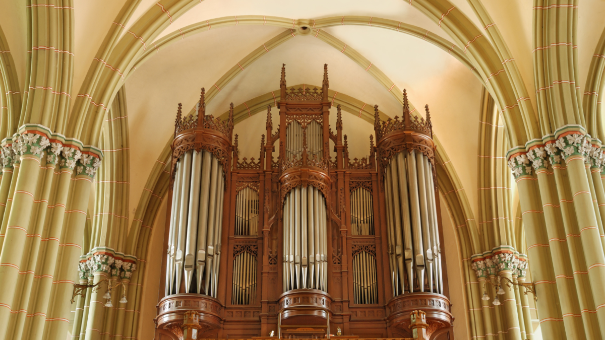 An Introduction to Organ