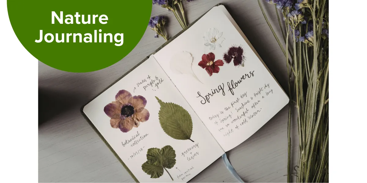 Nature Journaling Meet-Up