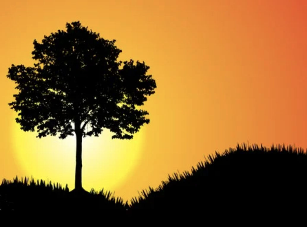 Honoring Your Life: End-of-Life Planning