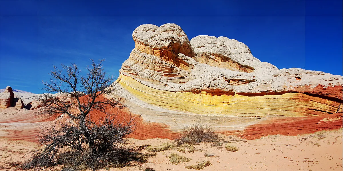 Shared Adventures: "Canyon Landscapes" Palates of Color and Light