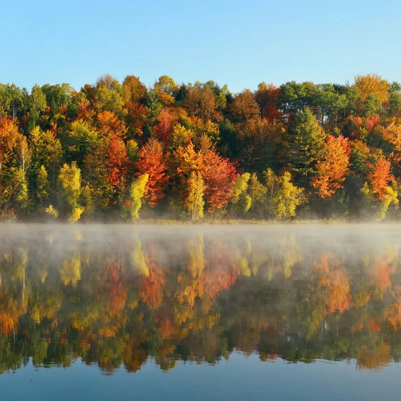 "First Monday" Pathwork Lecture Presentation - October 5 -  PL# 124: " The Language of the Unconscious" via the ZOOM platform -  facilitated by Alanna Hayden, Pathwork VT helper
