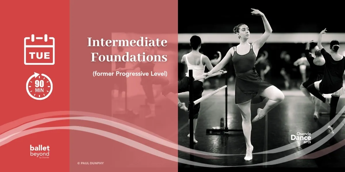 🍁 Intermediate (foundations)  Tuesdays