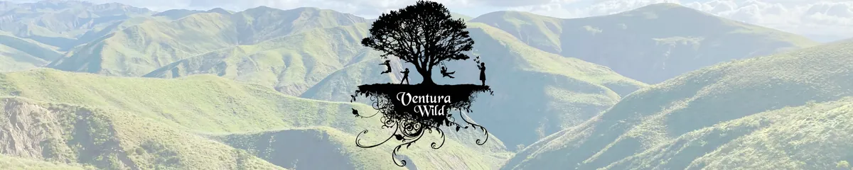 Volunteer 2026 Application