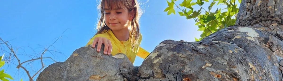Ventura Wild Fall Session 1 Session Sign-up Form