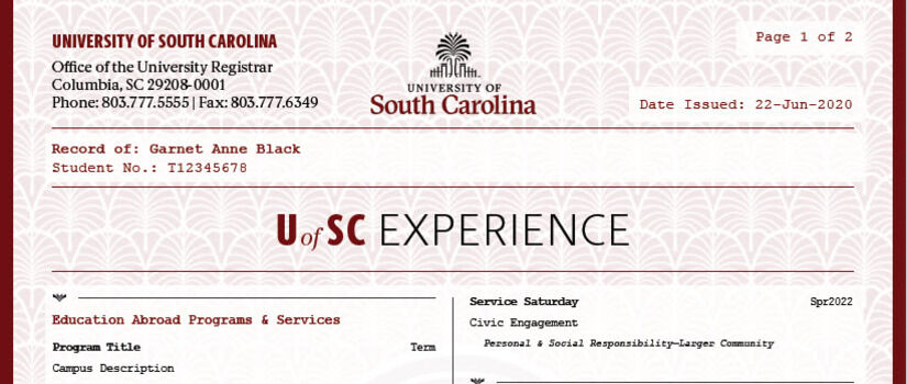 My UofSC Experience for Advisors