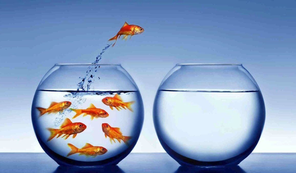 Effective Transitioning from the UAA to the Department