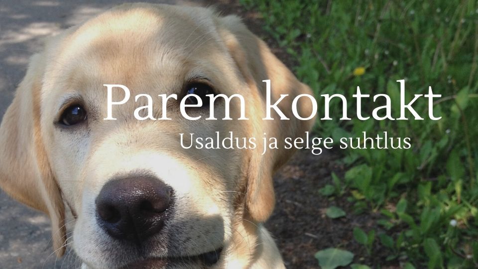 KPK1 - Parem kontakt  E, N kl 18.00-18.55, esimesel korral E  kl 19.05-21.15