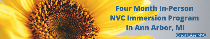 NVC Immersion Program (In-Person in Ann Arbor, MI)