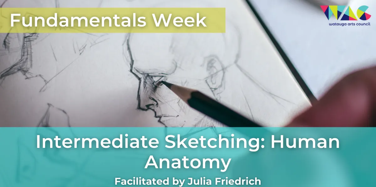 Fundamentals Week: Intermediate Sketching - Human Anatomy