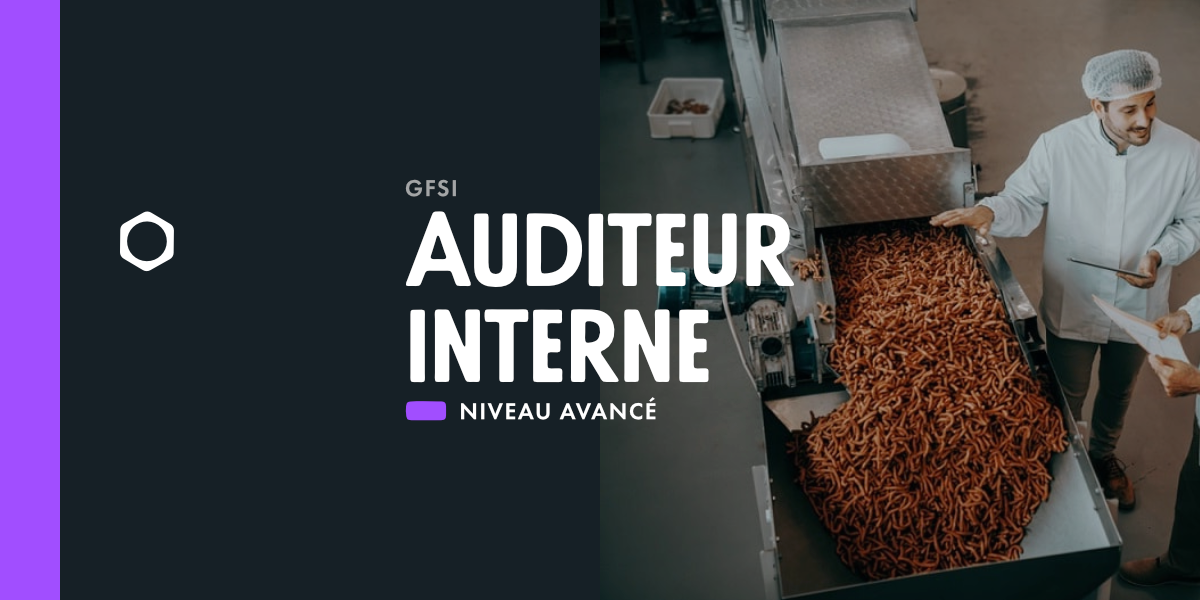 Auditeur interne