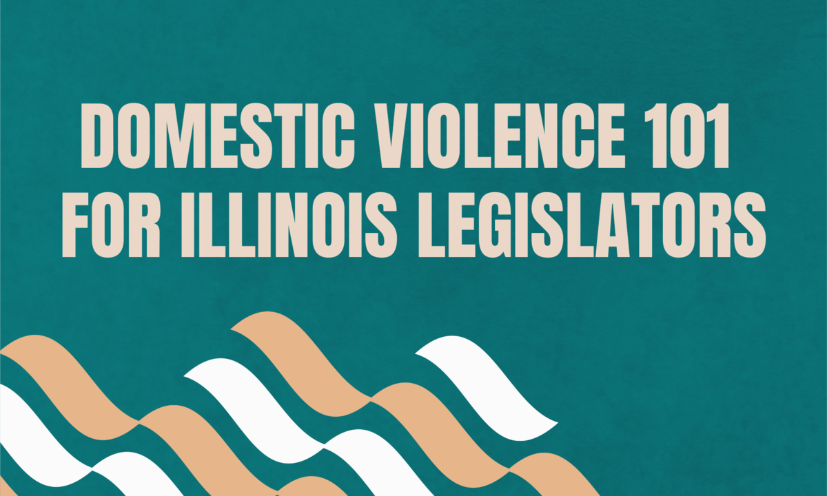 Domestic violence 101 for Illinois legislators and staff — The Network