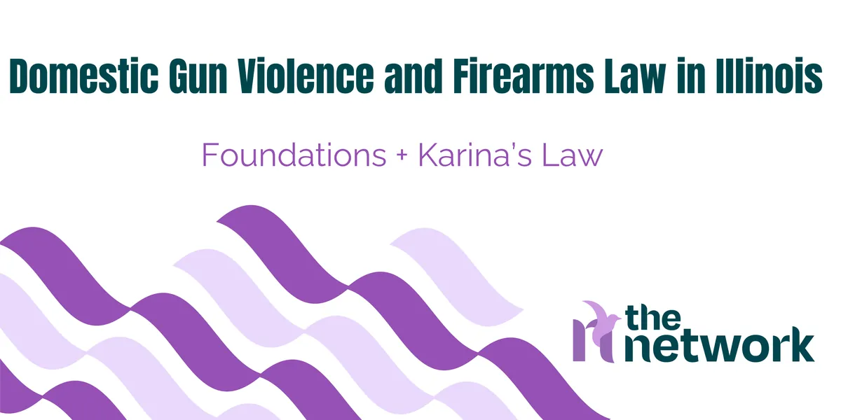 Domestic Gun Violence and Firearms Law in Illinois