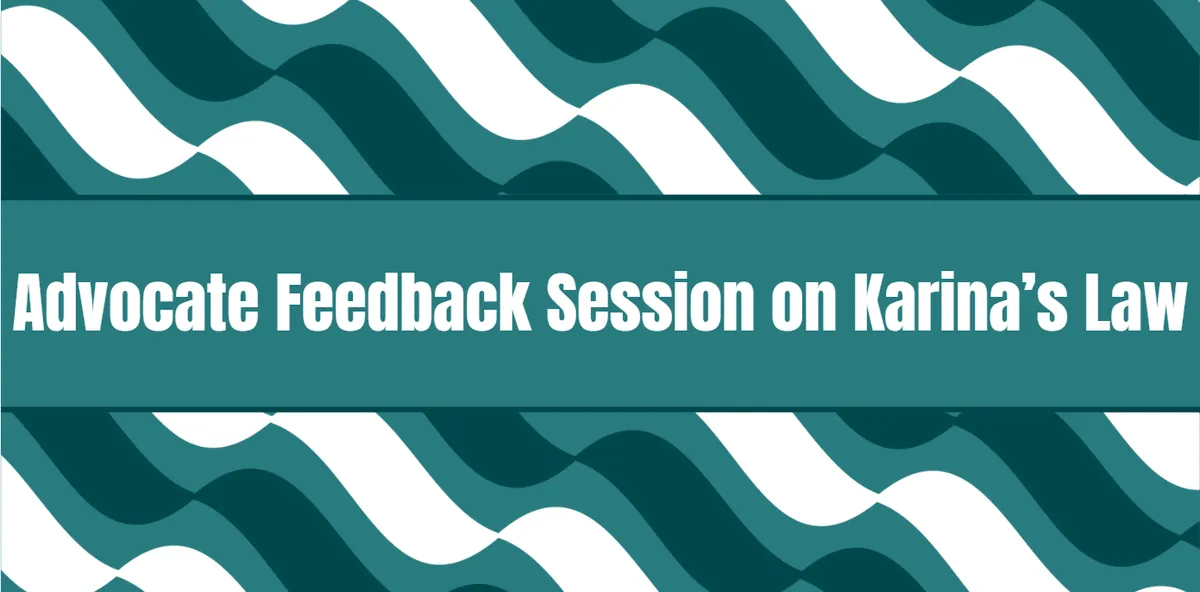 Legal Advocate Feedback Session on Karina's Law Implementation