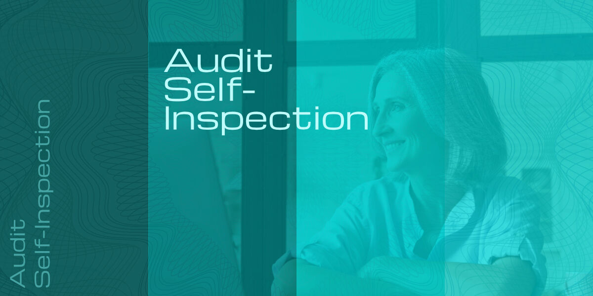 Audit (self-inspection) course