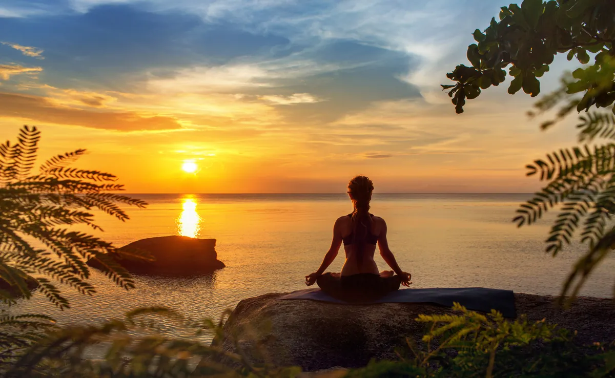 Vipassana herfstretraite