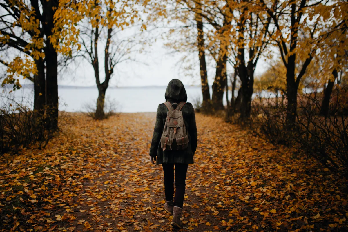 Online Vipassana retraite