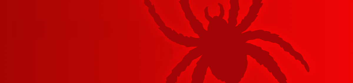 Spider Basketball with the Provost