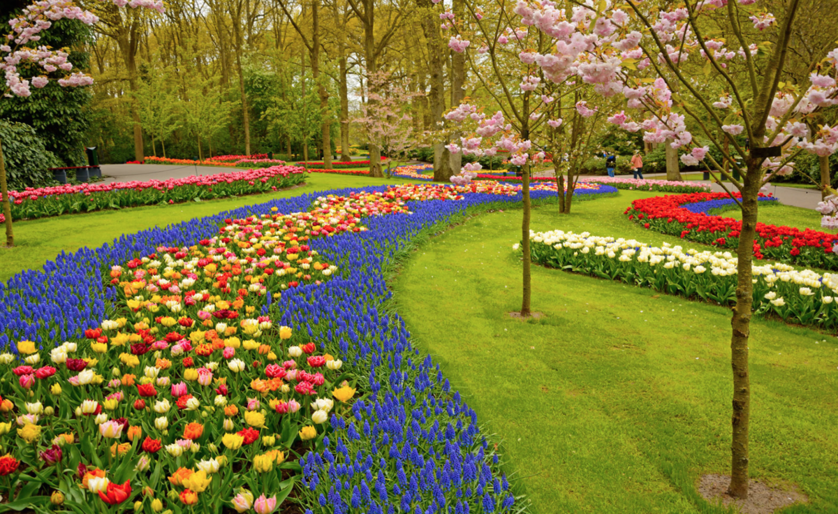 Romsey and Lancefield District Gardening Club 2026 - Monthly Garden Club-Every 4th Tuesday of the month