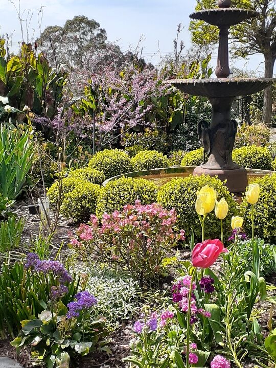 Intro to Landscape Design and Plant Selection 2026 (from 18 July to 8 Aug, Saturday 10am to 12pm)