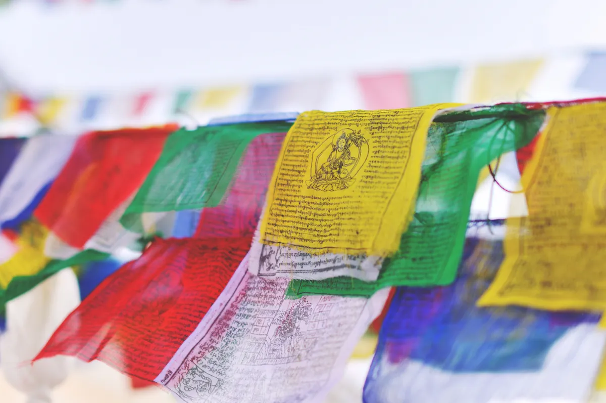 The Four Noble Truths Seminar and Pilgrimage 2027, Sarnath, Rajgir, Nalanda, and Bodhgaya