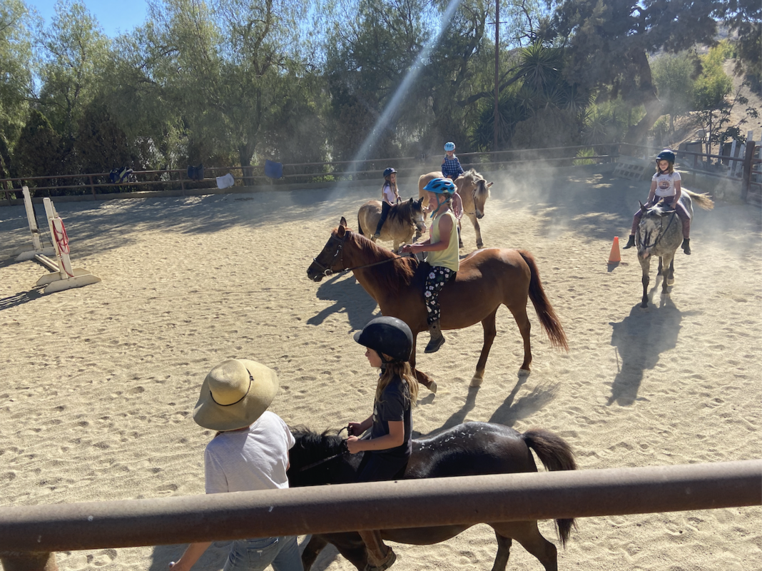 A Lotte Horses — Horseback Riding Lessons II