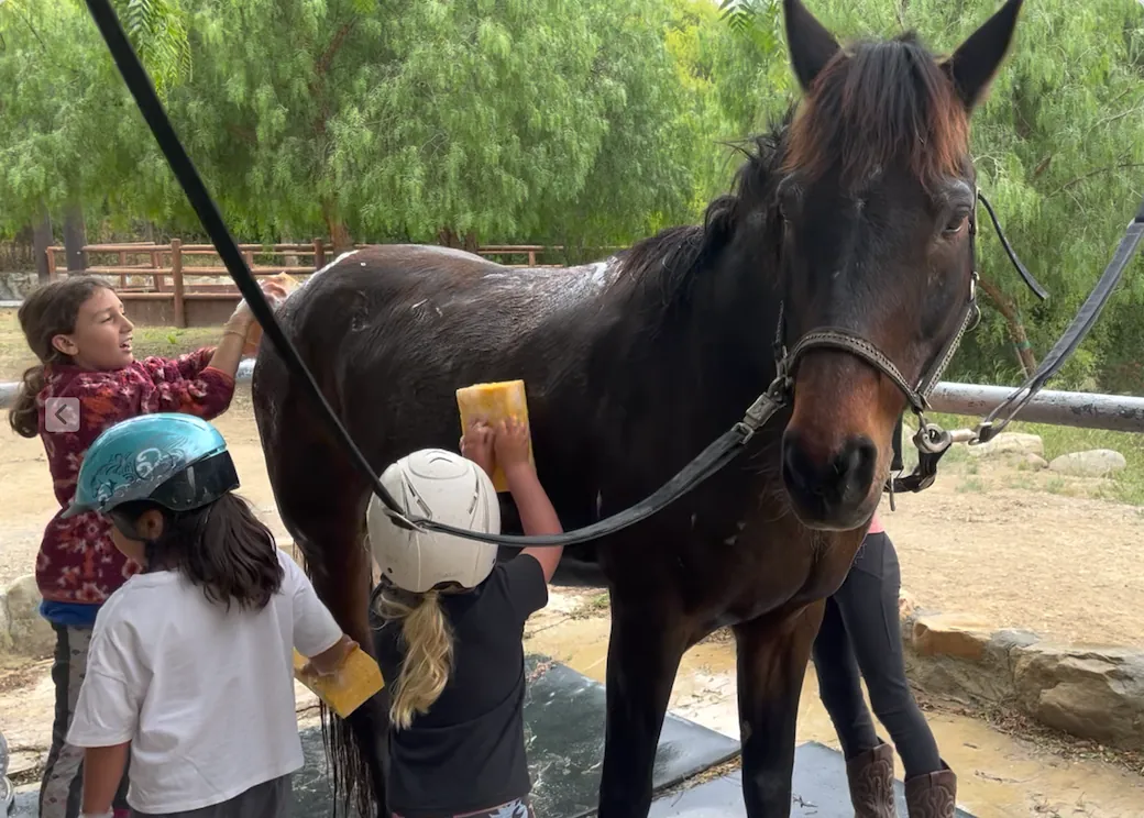 Jr Counselor - Summer with the Horses Wk6