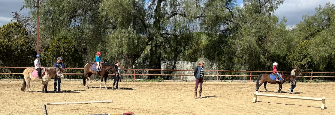 Pony Diaries - Wed AM Jan-Mar (12 weeks)