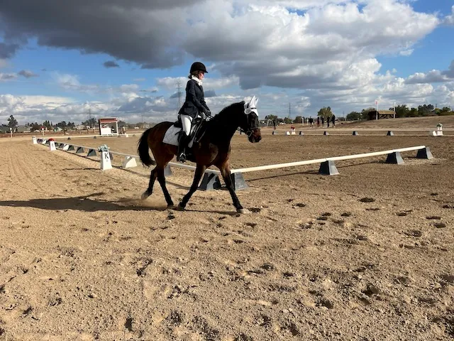 DRESSAGE CLINIC with Marianne Kruidenier